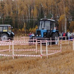 Сборная Кузбасса завоевала золото на Всероссийских летних сельских спортивных играх