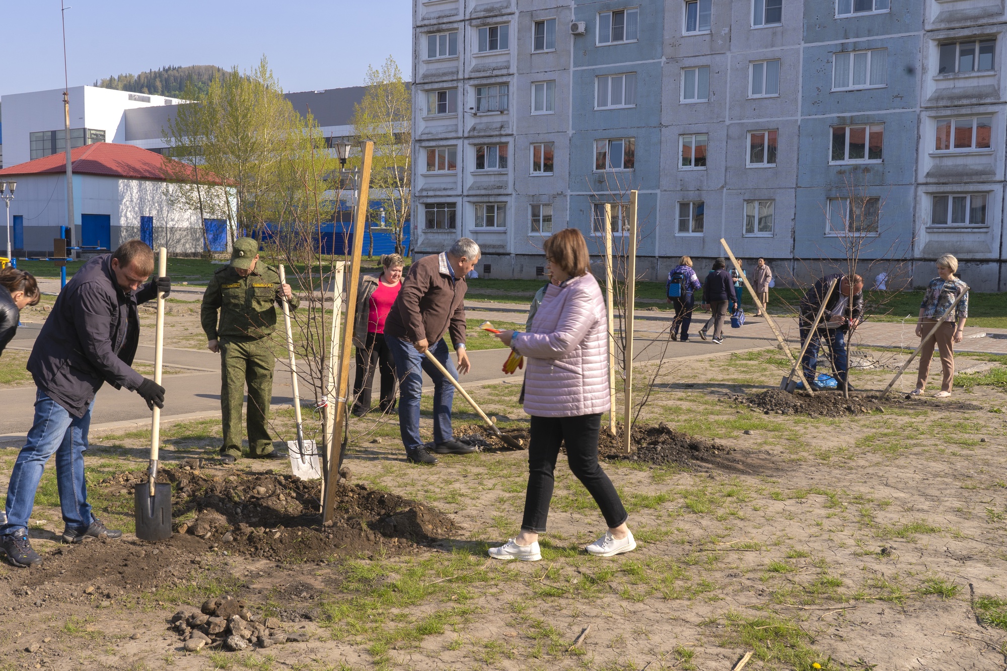 В Междуреченске появились новые аллеи | 14.05.2021 | Междуреченск -  БезФормата