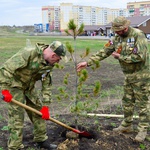 В Кузбассе в рамках международной акции «Сад Памяти» в этом году высадили 1 млн 115 тысяч деревьев