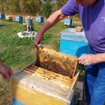 Сергей Цивилев: пчеловоды КуZбасса угостят вкусным медом посетителей ВДНХ