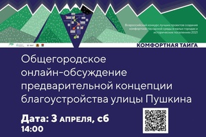 В эту субботу, 3 апреля состоится общегородская презентация предварительной концепции благоустройства улицы Пушкина.