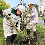 Сергей Цивилев: за пять лет в рамках акции «Сохраним лес» в КуZбассе высадили 6 млн деревьев