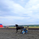 Конноспортивный праздник в КуZбассе собрал более 100 сильнейших наездников Сибири