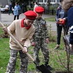 Сергей Цивилев: в ходе акции «Сад Памяти» этой весной в КуZбассе высадят миллион деревьев