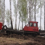 Нацпроект помог восстановить в КуZбассе почти 58 тысяч гектаров леса