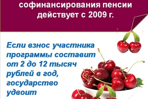 Участникам программы софинансирования пенсии - не забыть сделать взнос