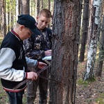Сергей Цивилев: интерес к лесной отрасли начинаем прививать с детского сада