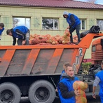 В Кузбассе 9 326 семей получили бесплатные овощные наборы