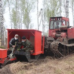 Нацпроект помог восстановить в КуZбассе почти 58 тысяч гектаров леса